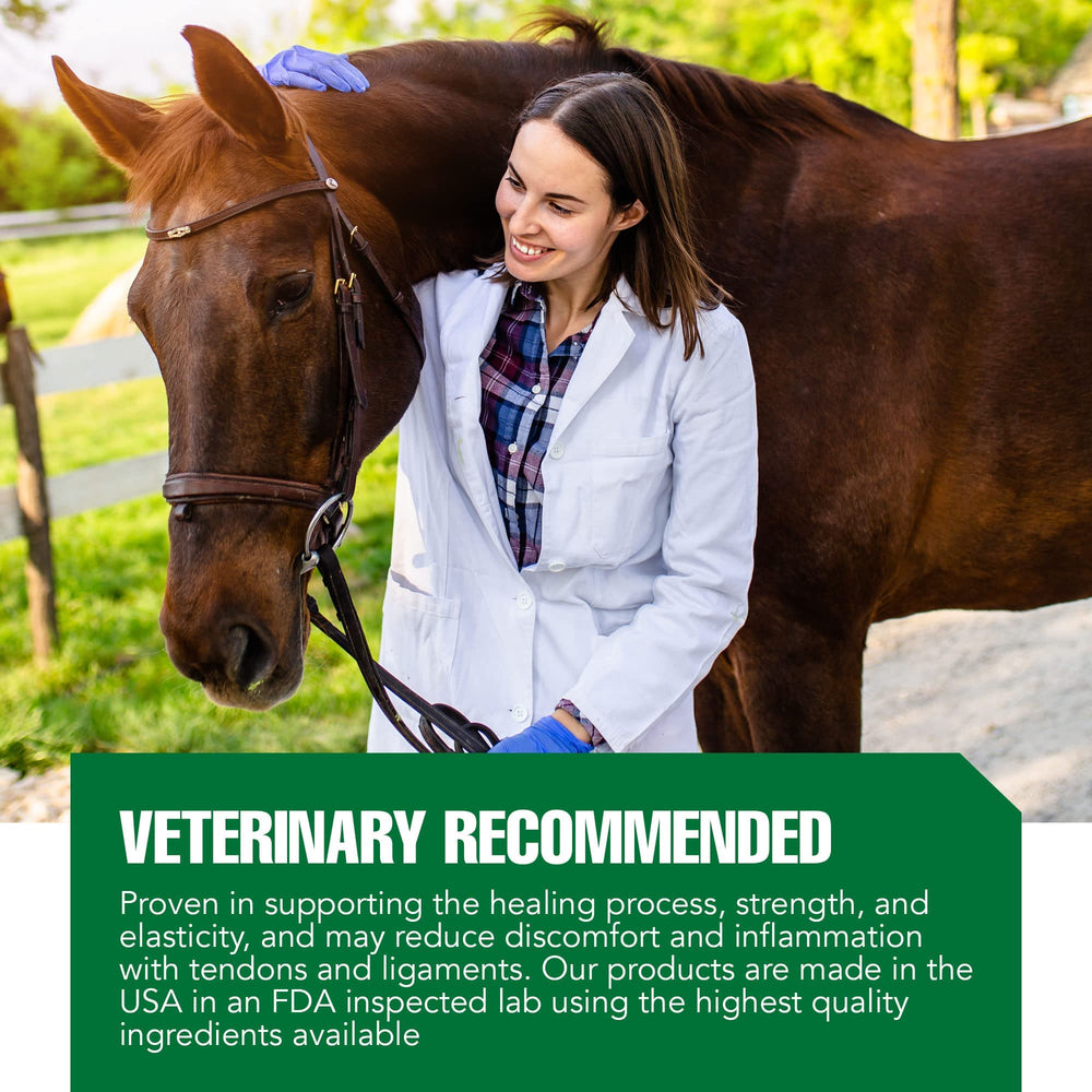 Ramard Total Tendon Repair, evaluado por veterinarios y entrenadores para rendimiento.