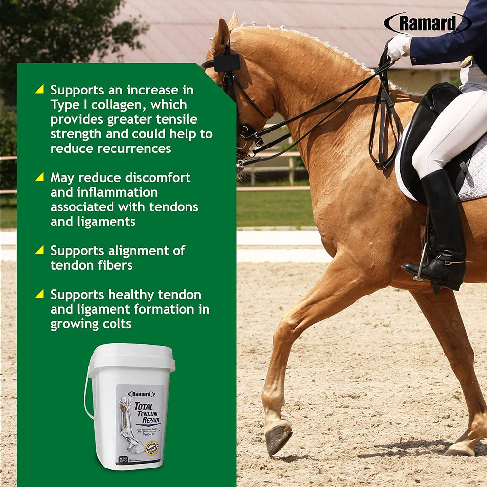 Ramard Vitamina C, Colágeno y MSM para el caballo, ingrediente clave para movilidad.