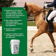 Ramard Vitamina C, Colágeno y MSM para el caballo, ingrediente clave para movilidad.