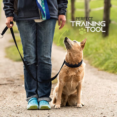 Ram-Pro collar de adiestramiento de acción progresiva, ayuda en obediencia diaria