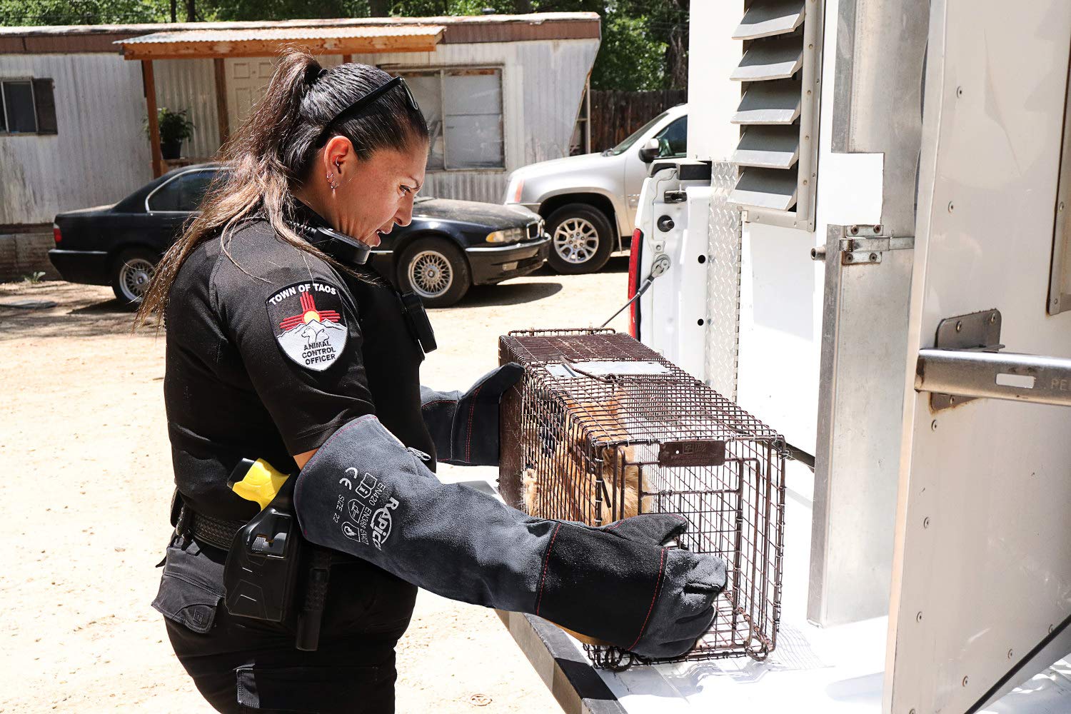 RAPICCA guantes con refuerzo en palma y dorso para manejo seguro de aves y reptiles.