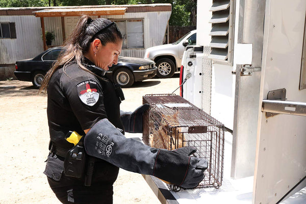 RAPICCA guantes con refuerzo en palma y dorso para manejo seguro de aves y reptiles.