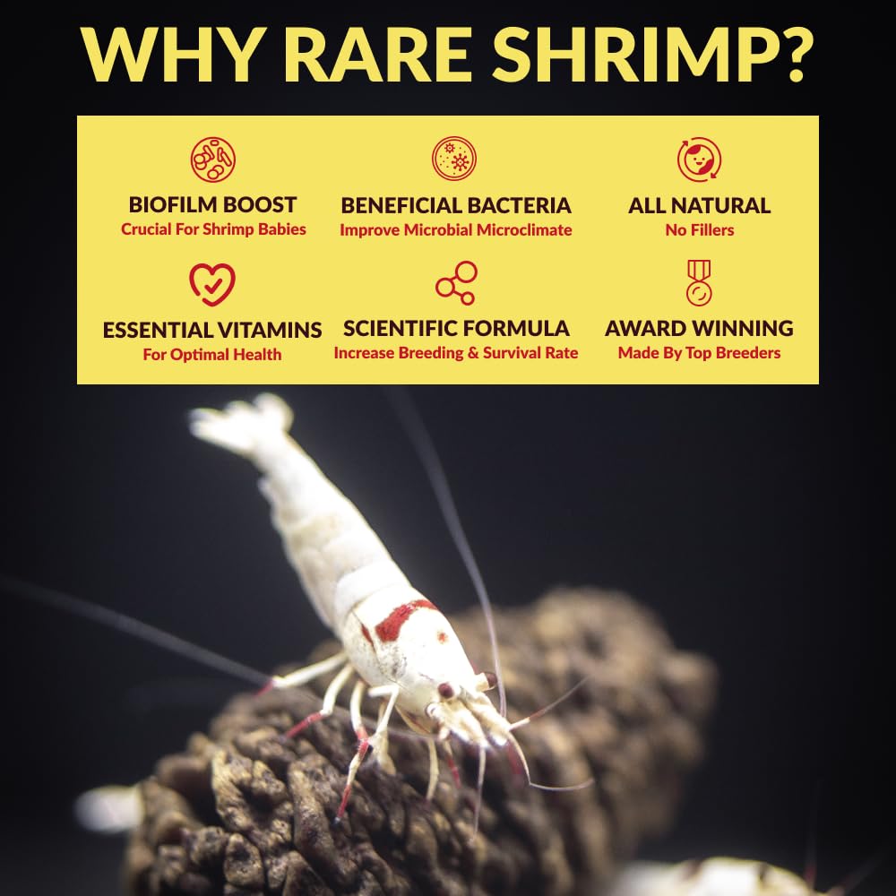 Rare Shrimp cultivo viable para colonias grandes de caridina