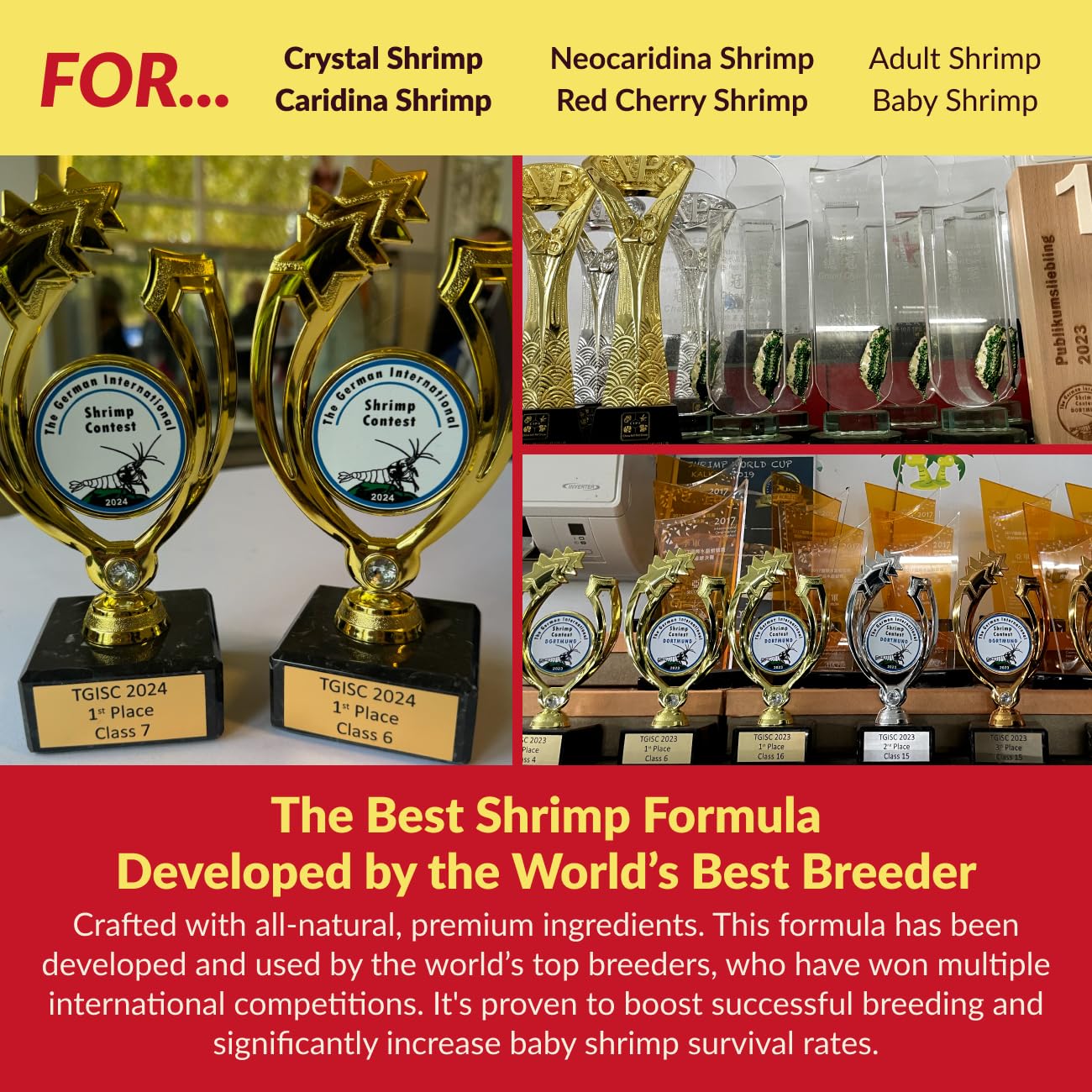 Rare Shrimp aporta nutrientes esenciales para muda y crecimiento