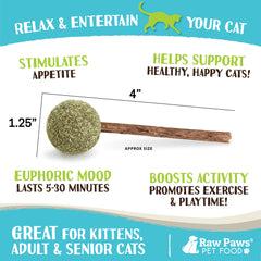 Raw Paws Bola Catnip Juguete: captura la atención y promueve juego suave.