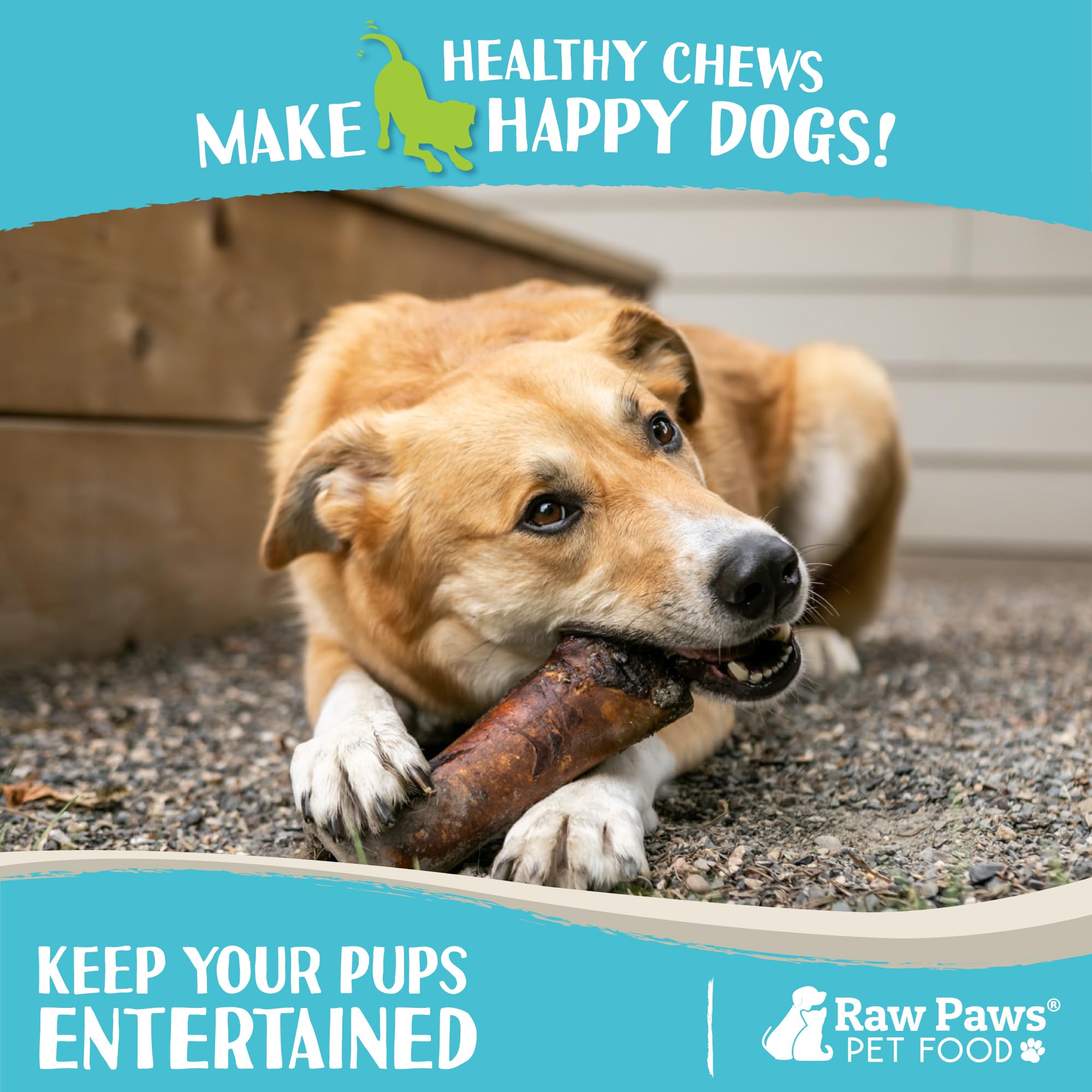 Estimulación mental con huesos Raw Paws para perros