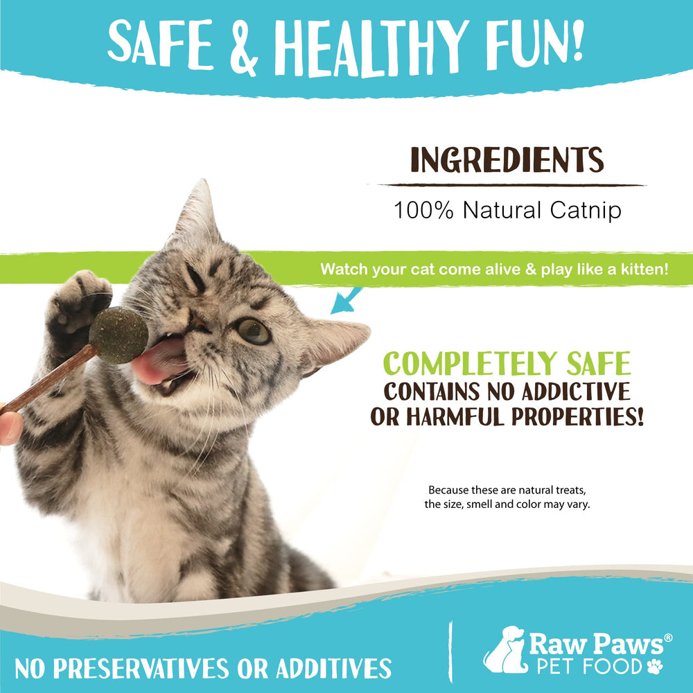 Raw Paws Hierba Gatera Fresca: aroma natural para calma suave durante juegos.