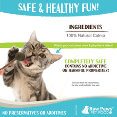 Raw Paws Hierba Gatera Fresca: aroma natural para calma suave durante juegos.