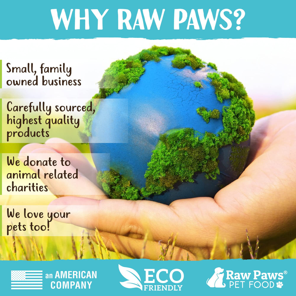 Raw Paws Juguete Interactivo Catnip Silvervine: ideal para distraer durante viajes o visitas.