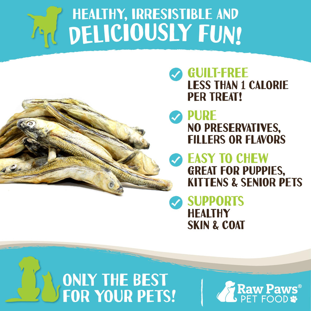 Ingrediente único Raw Paws Minnows sin granos, apto para dietas sensibles.