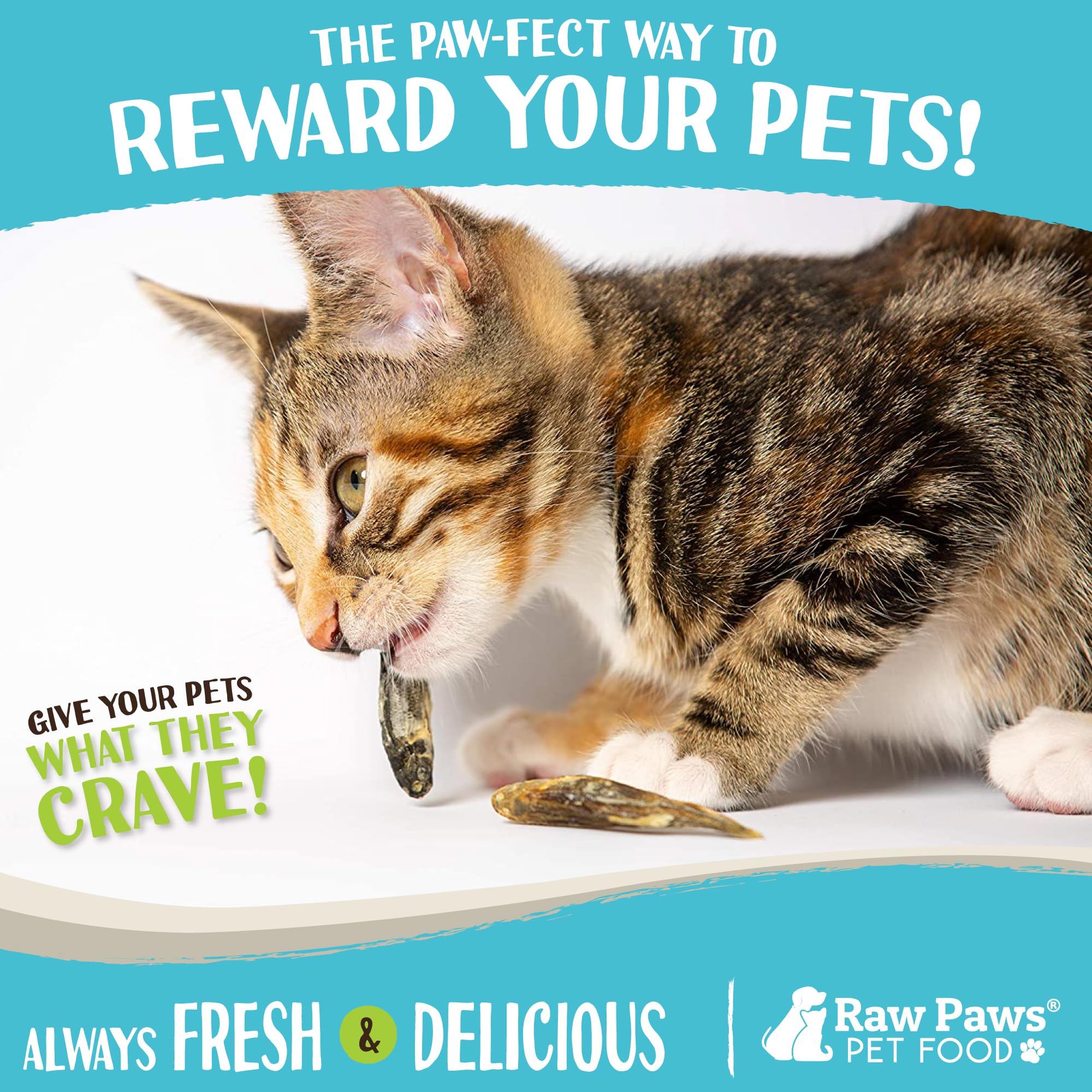 Topper de Minnows Raw Paws para enriquecer las comidas de mascotas.