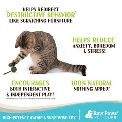 Raw Paws Palitos Silvervine Gatos: activa la mordida y motiva la actividad física.