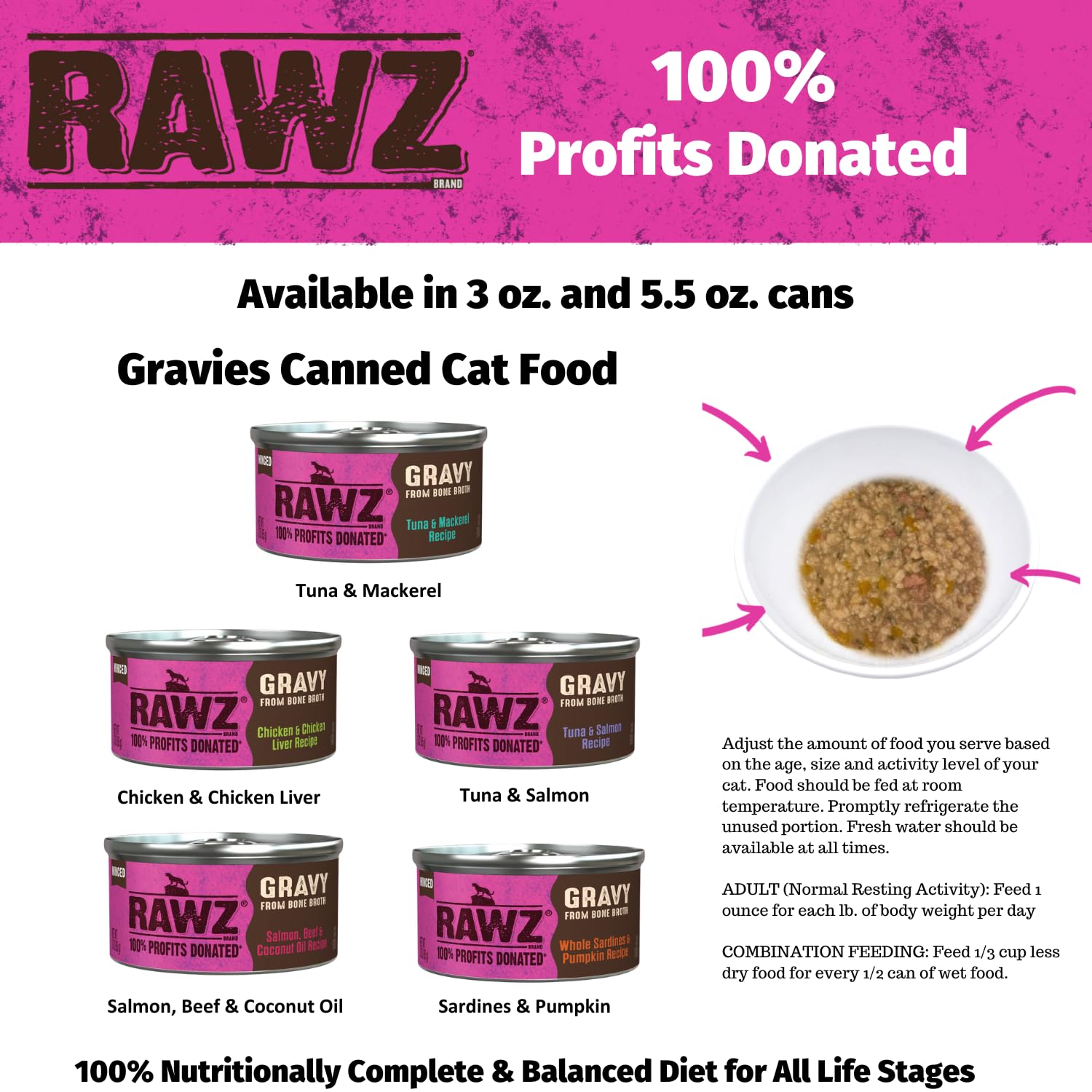 RAWZ gato disfrutando en plato: momento de comida agradable.