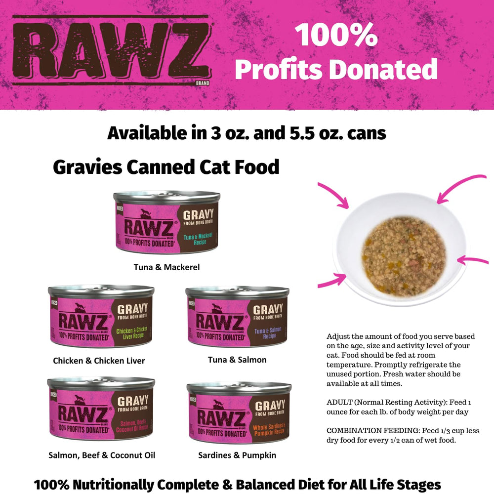 RAWZ gato disfrutando en plato: momento de comida agradable.