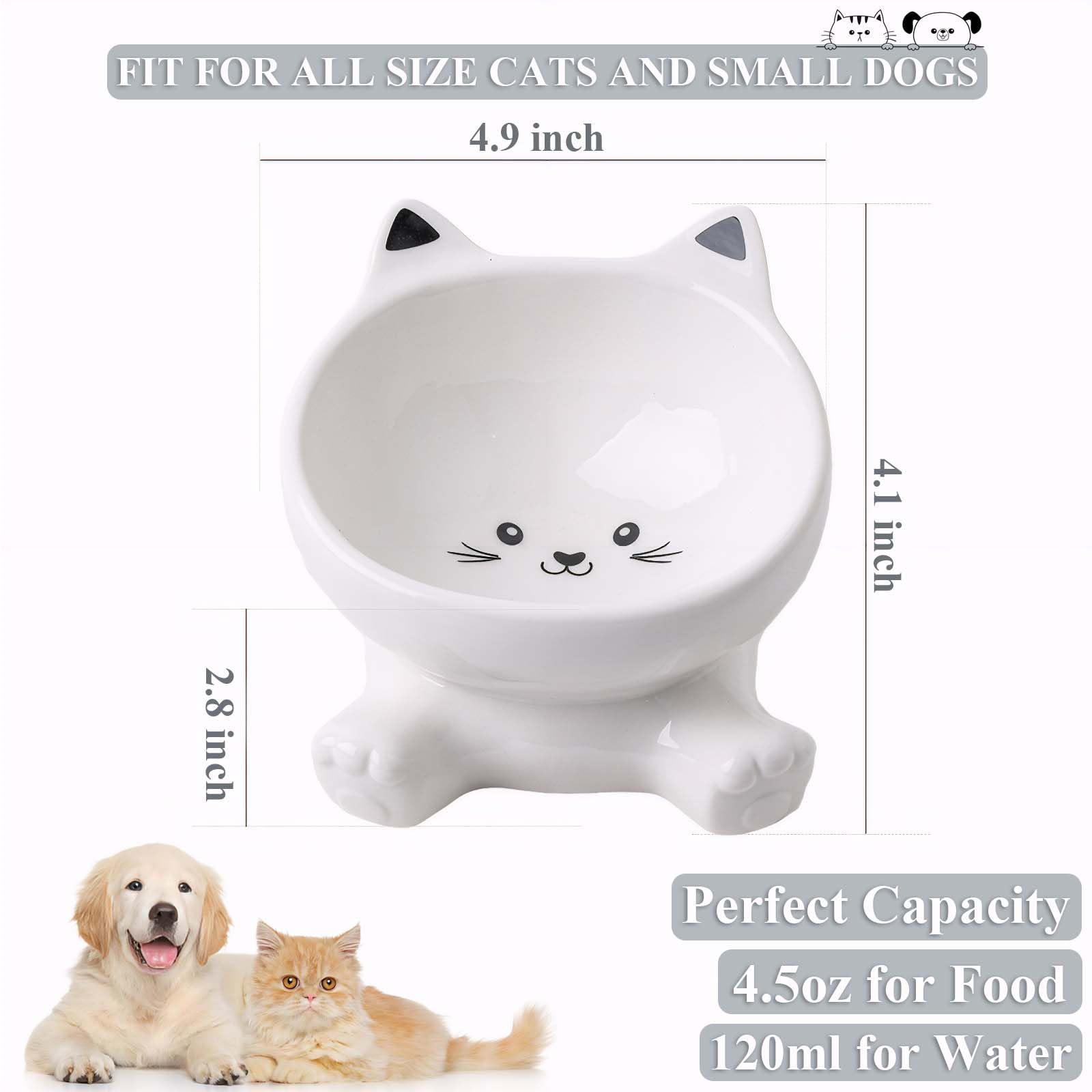 Raytrue-X tazón gato diseño orejas 3D atractivo para mascotas