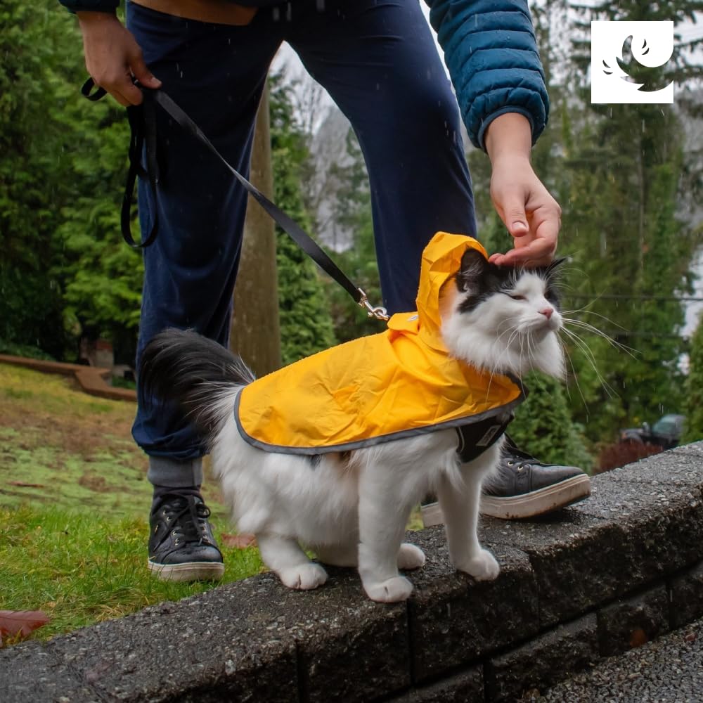 RC Pet Products poncho para perros, perfecto para paseos en calles mojadas.