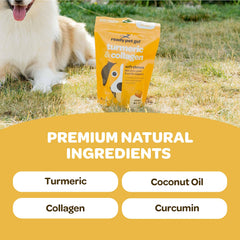 Etiqueta de Ready Pet Go Turmeric con información de fórmula sin granos.