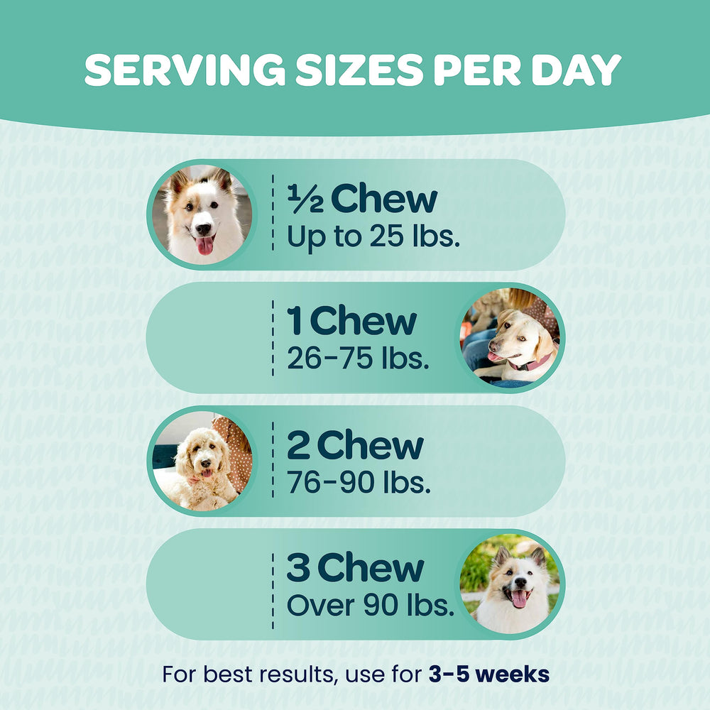 Ready Pet Go! aceite de salmón de Alaska, para una dieta saludable de perros
