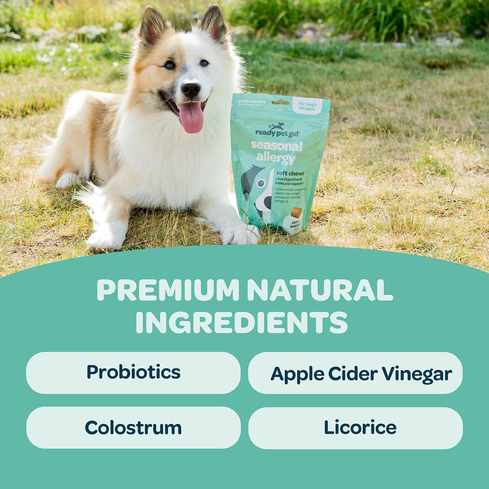 Ready Pet Go! probióticos con vinagre de manzana y salmón, para perros
