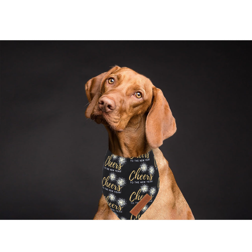 Conjunto de dos bandanas Realeaf, valor añadido para cambiar de look rápidamente.
