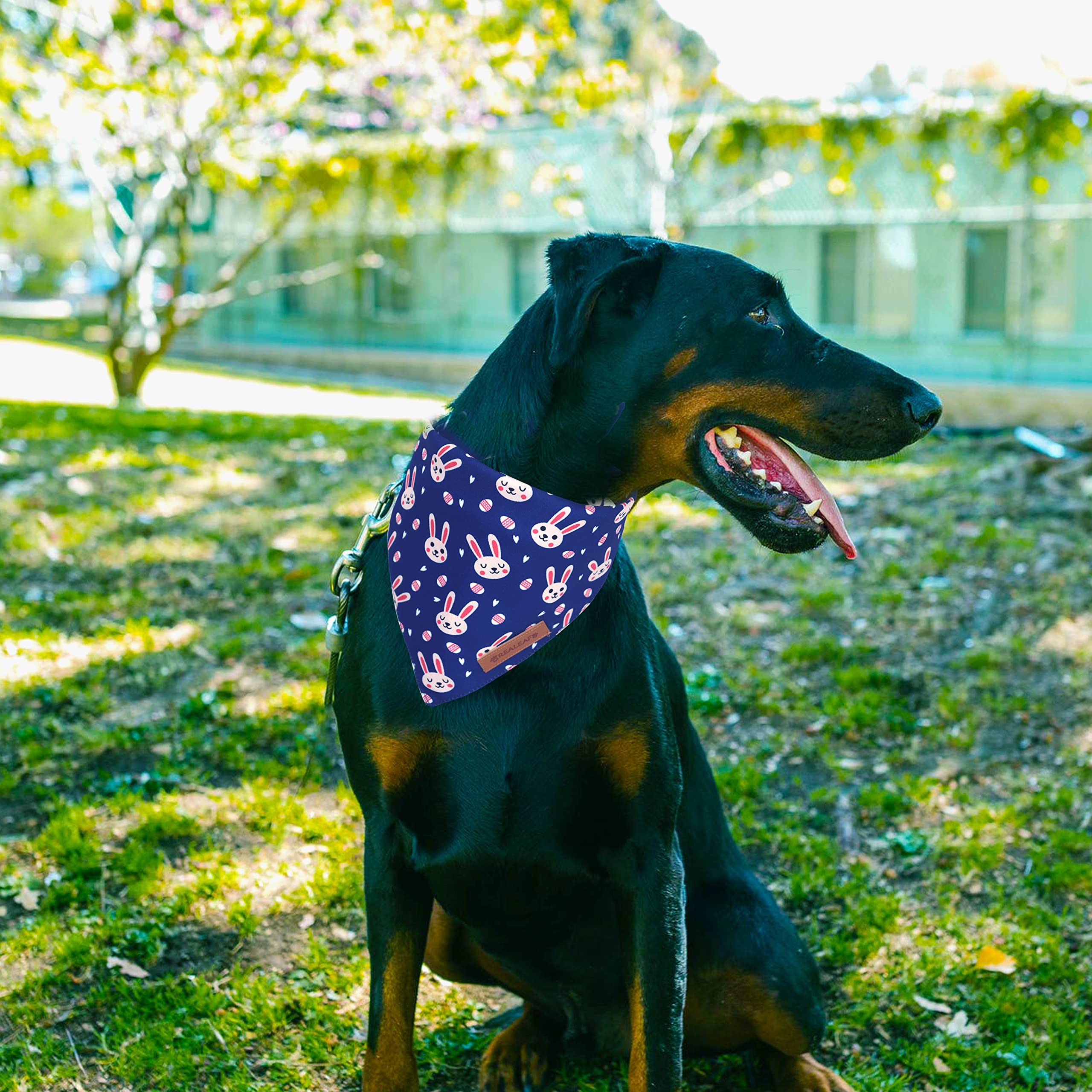 Regalo ideal para Pascua: bandana Realeaf para perros.