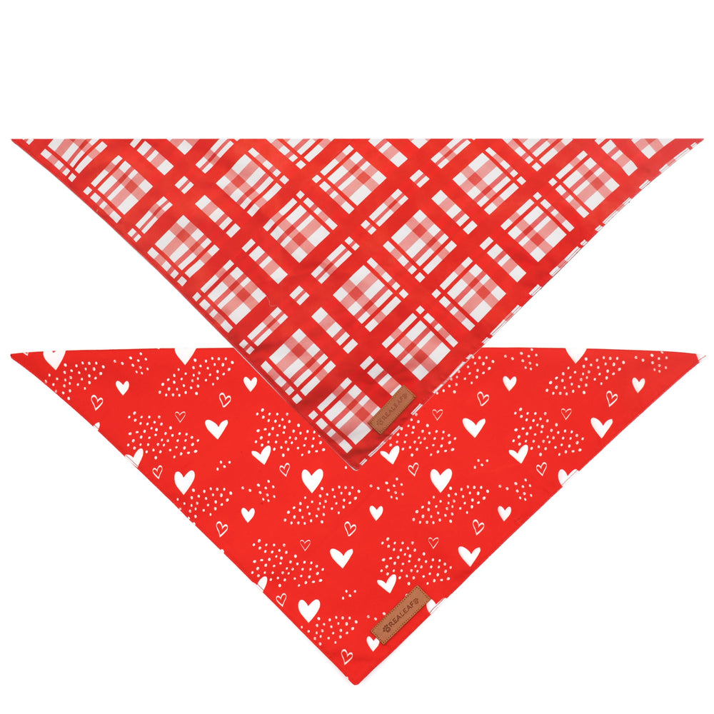 Bandana Realeaf con corazones y cuadros, estilo llamativo para tu mascota