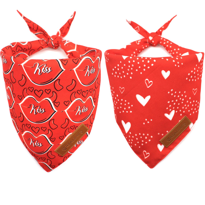 Bandana Realeaf para perro de dos caras con corazones, ideal para paseos con estilo.