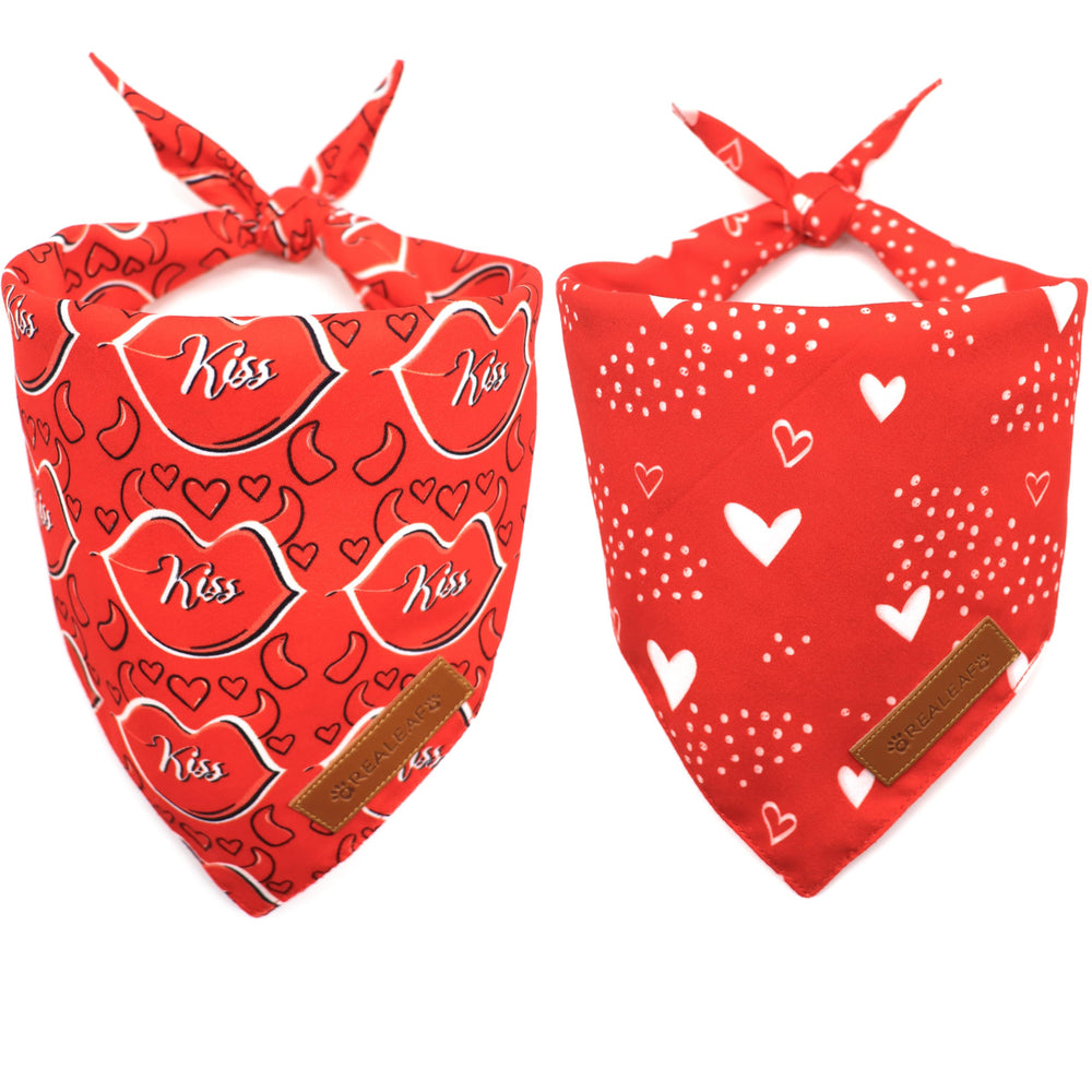 Bandana Realeaf para perro de dos caras con corazones, ideal para paseos con estilo.