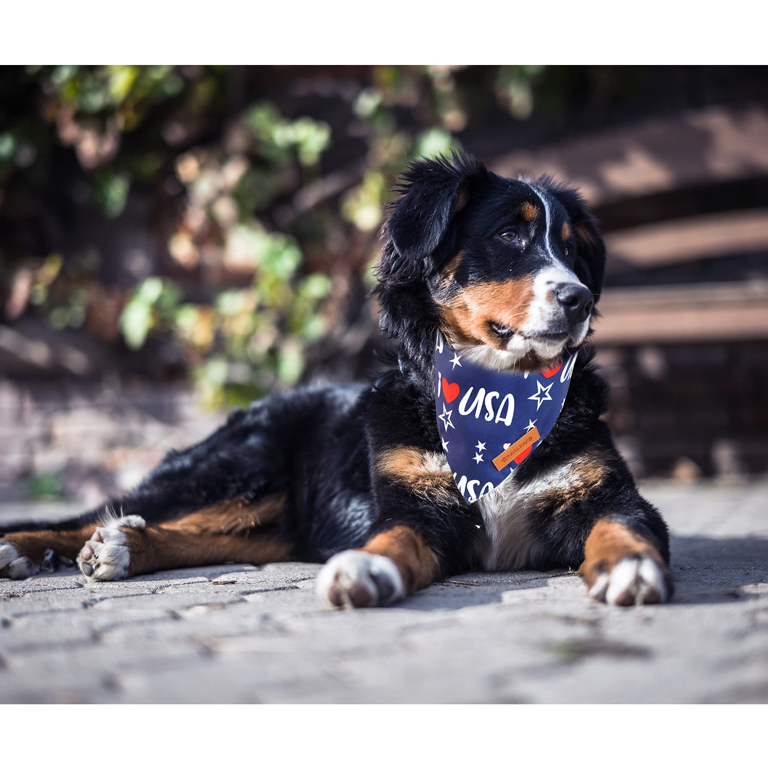 Bandana Realeaf lavable y resistente, fácil de cuidar para perros activos.