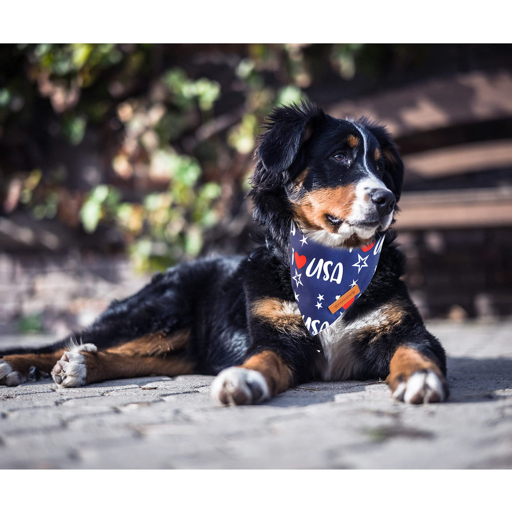 Bandana Realeaf lavable y resistente, fácil de cuidar para perros activos.