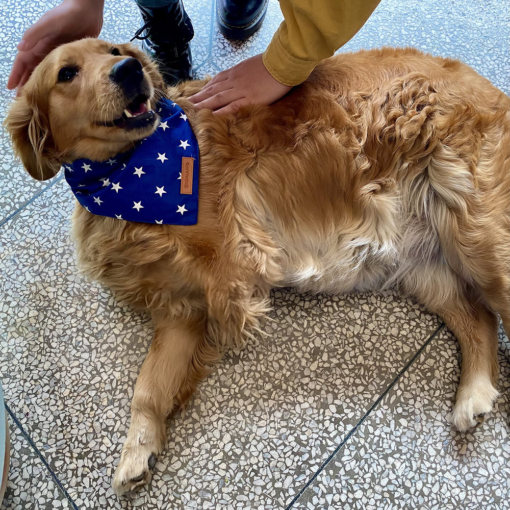 Regalo perfecto para dueños de perros amantes de lo patriótico.