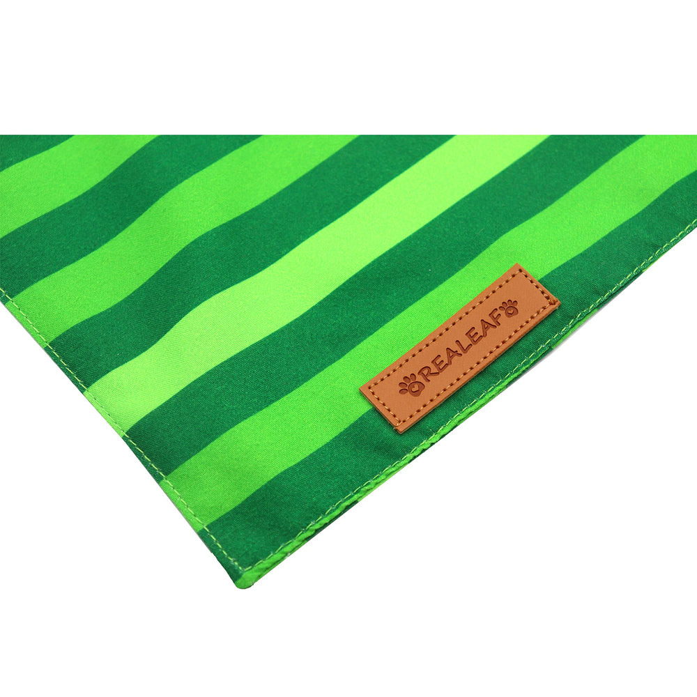Bandana Realeaf para sesión fotográfica, añade color y estilo.