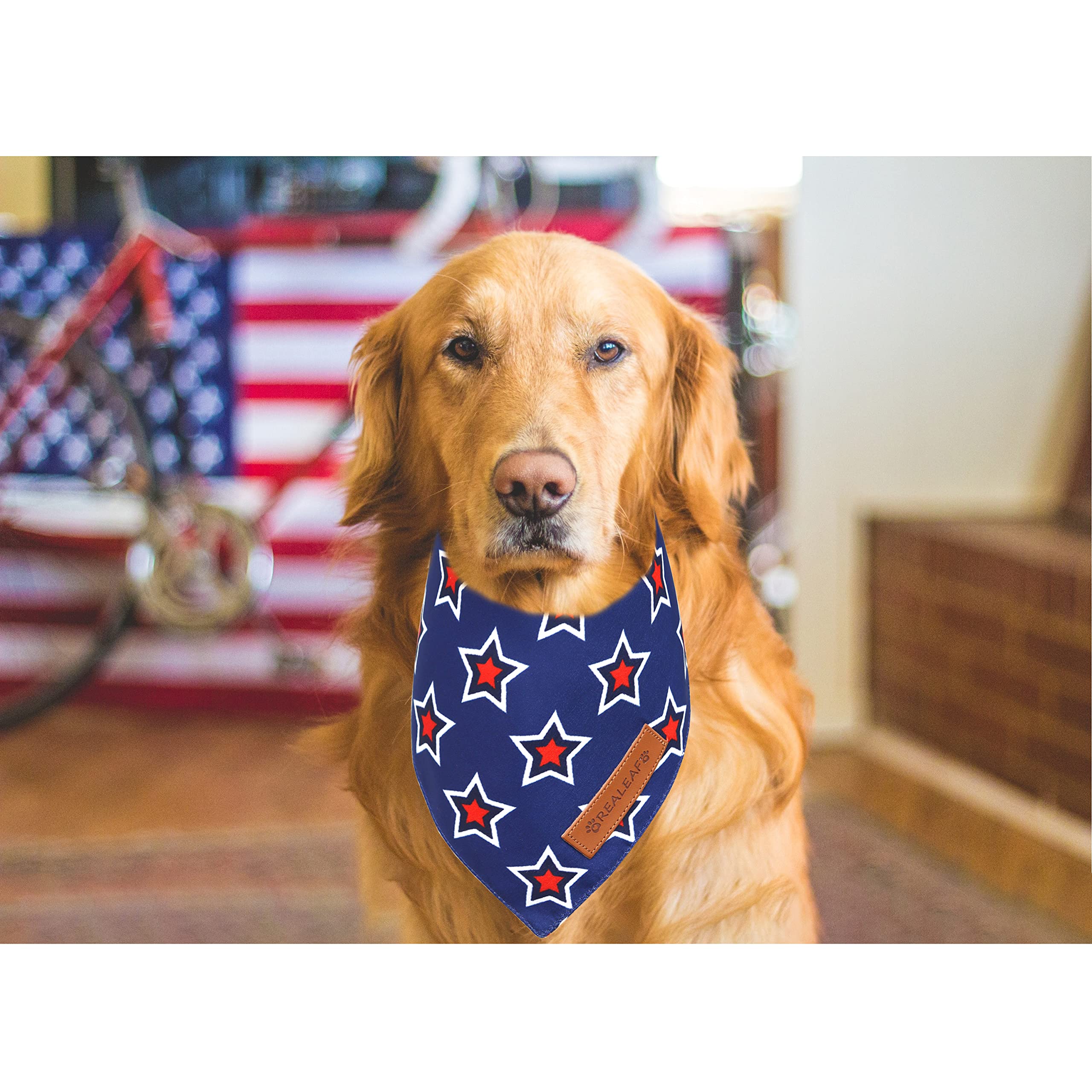 Realeaf bandana para perro talla extra grande, ideal para razas grandes y eventos festivos