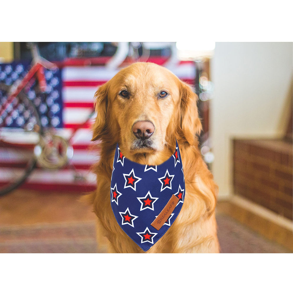 Realeaf bandana para perro talla extra grande, ideal para razas grandes y eventos festivos