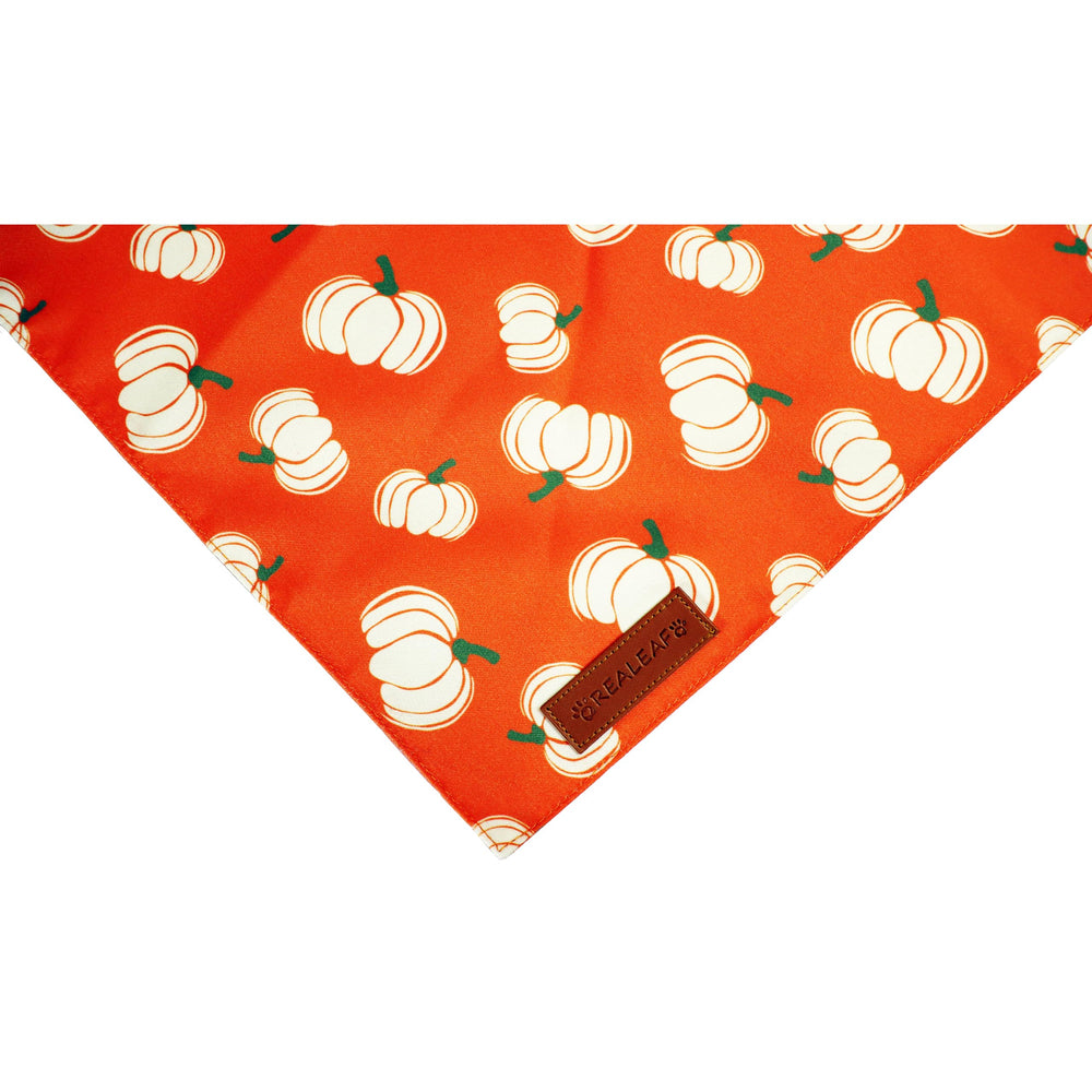 Realeaf bandana mediana, ajuste cómodo para perros medianos durante paseos.