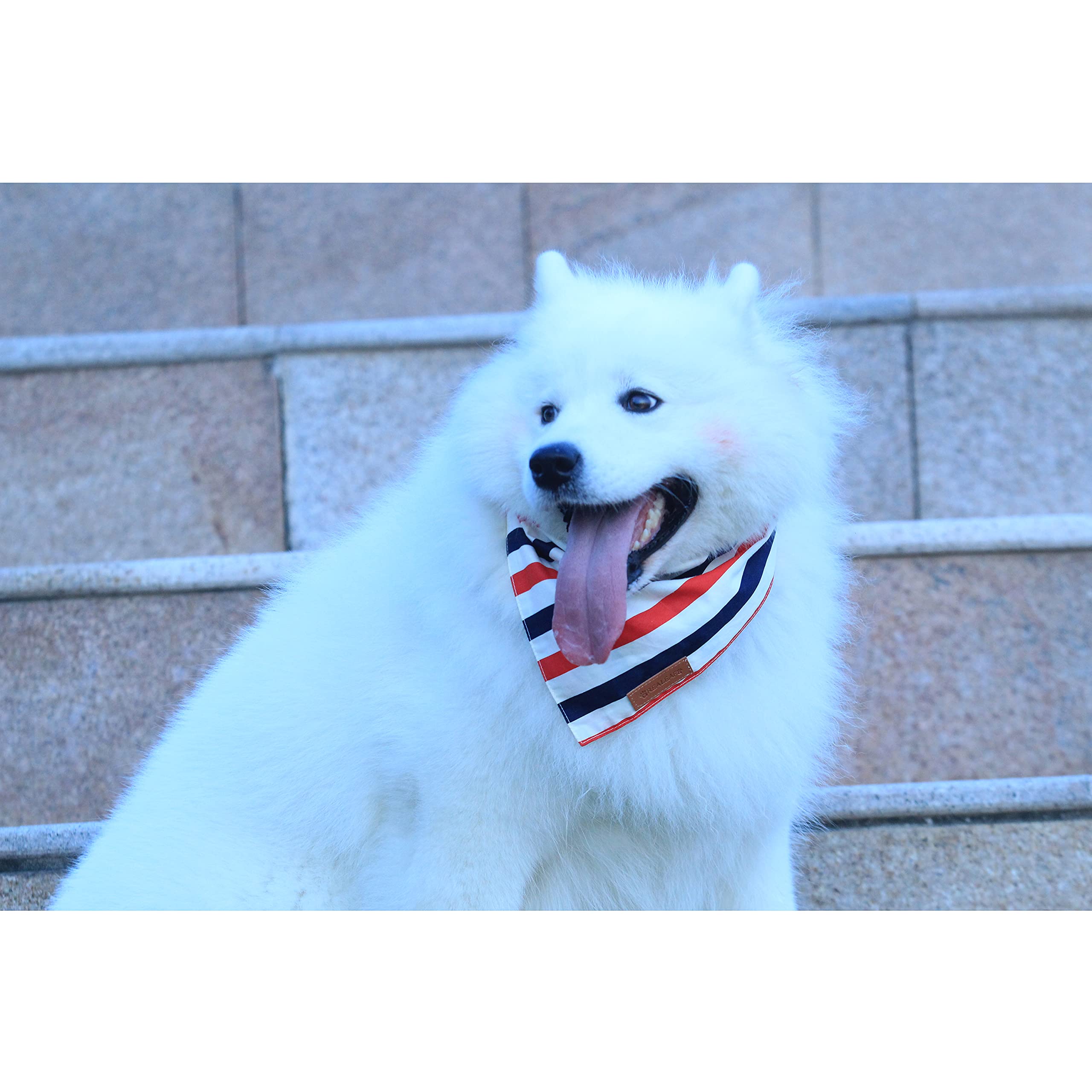 Bandana Realeaf de uso diario para perros pequeños y medianos.