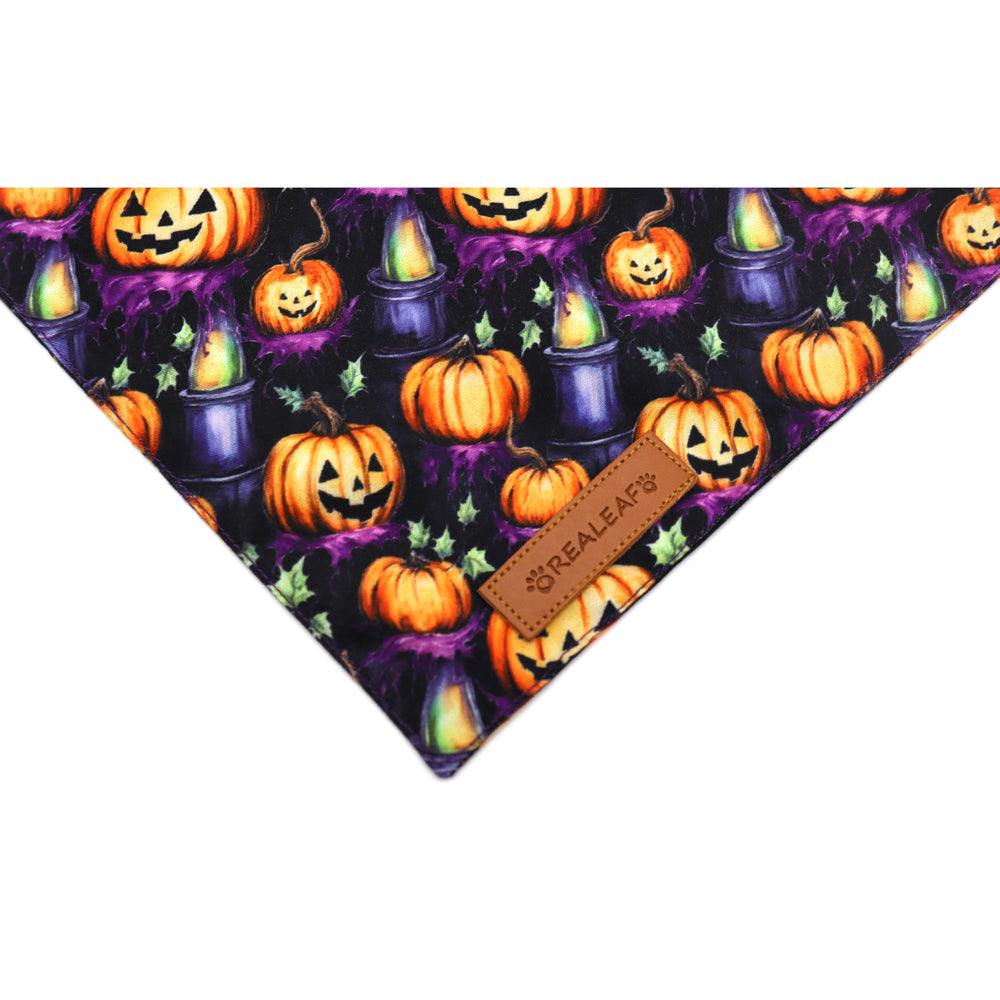 Bandana XL para perros grandes, ajuste cómodo hasta 21 pulgadas