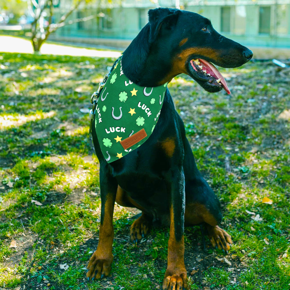 Bandana verde Realeaf San Patricio para mascota, accesorio festivo que añade estilo