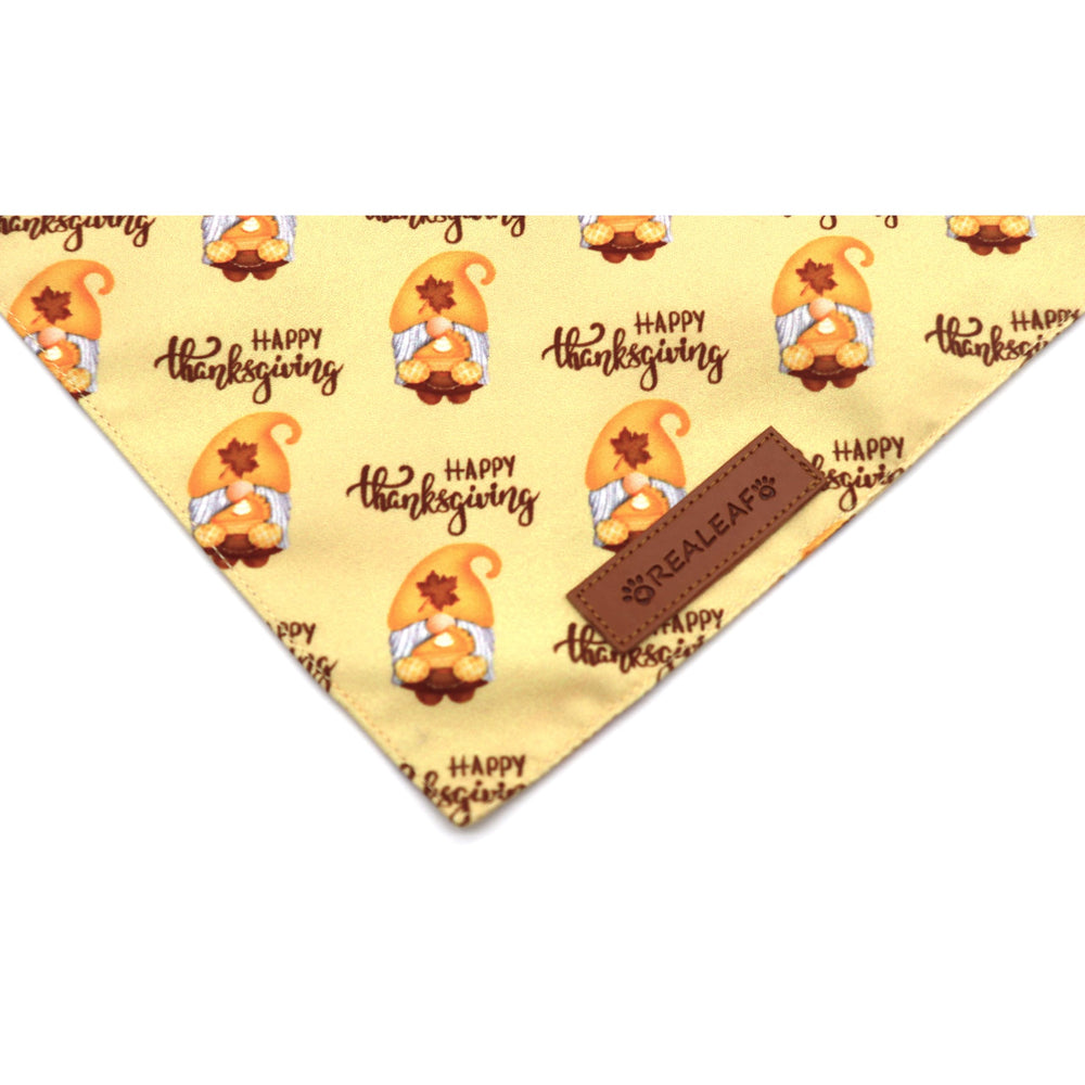 Contenido del paquete: dos bandanas para mayor valor y variedad.