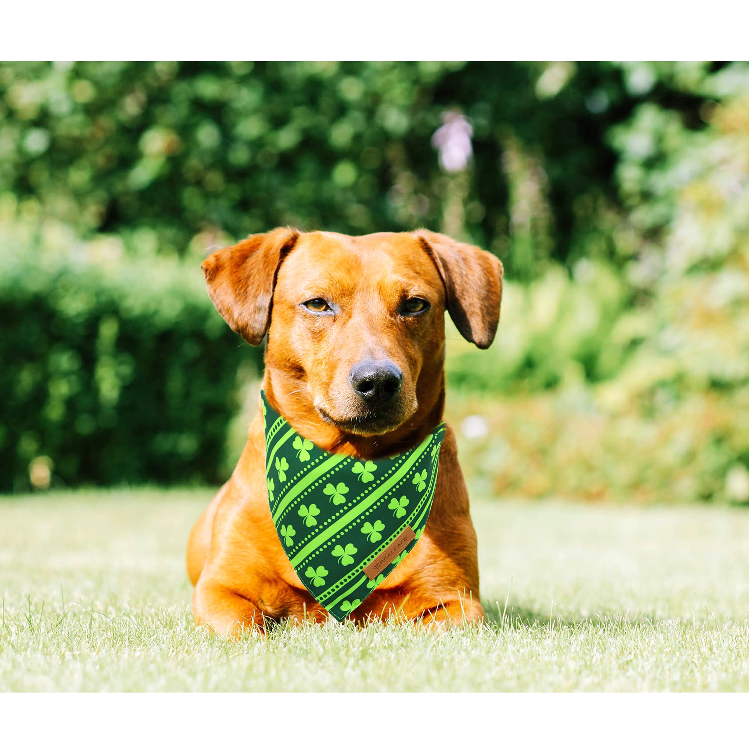 Realeaf Bandanas de doble capa duradera, resisten mordidas y aventuras diarias.