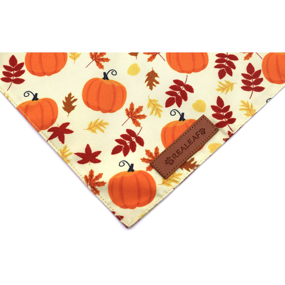Bandanas Realeaf para ocasiones especiales, regalo ideal para amantes de perros.
