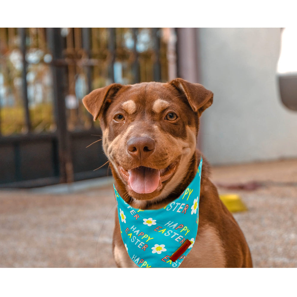Bandanas de Pascua Realeaf para perro, detalles festivos para ocasiones especiales.