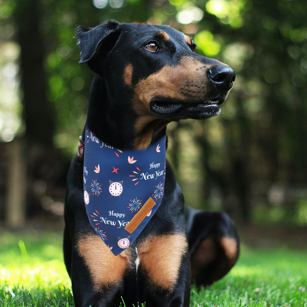 Regalo de navidad para perros con bandanas Realeaf.