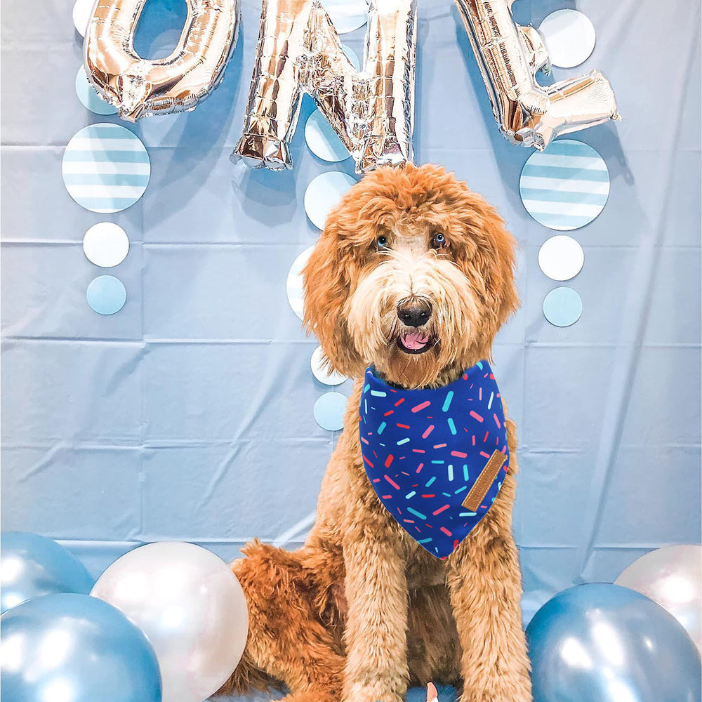 Uso diario, fotos y fiestas con bandanas Realeaf para perros.