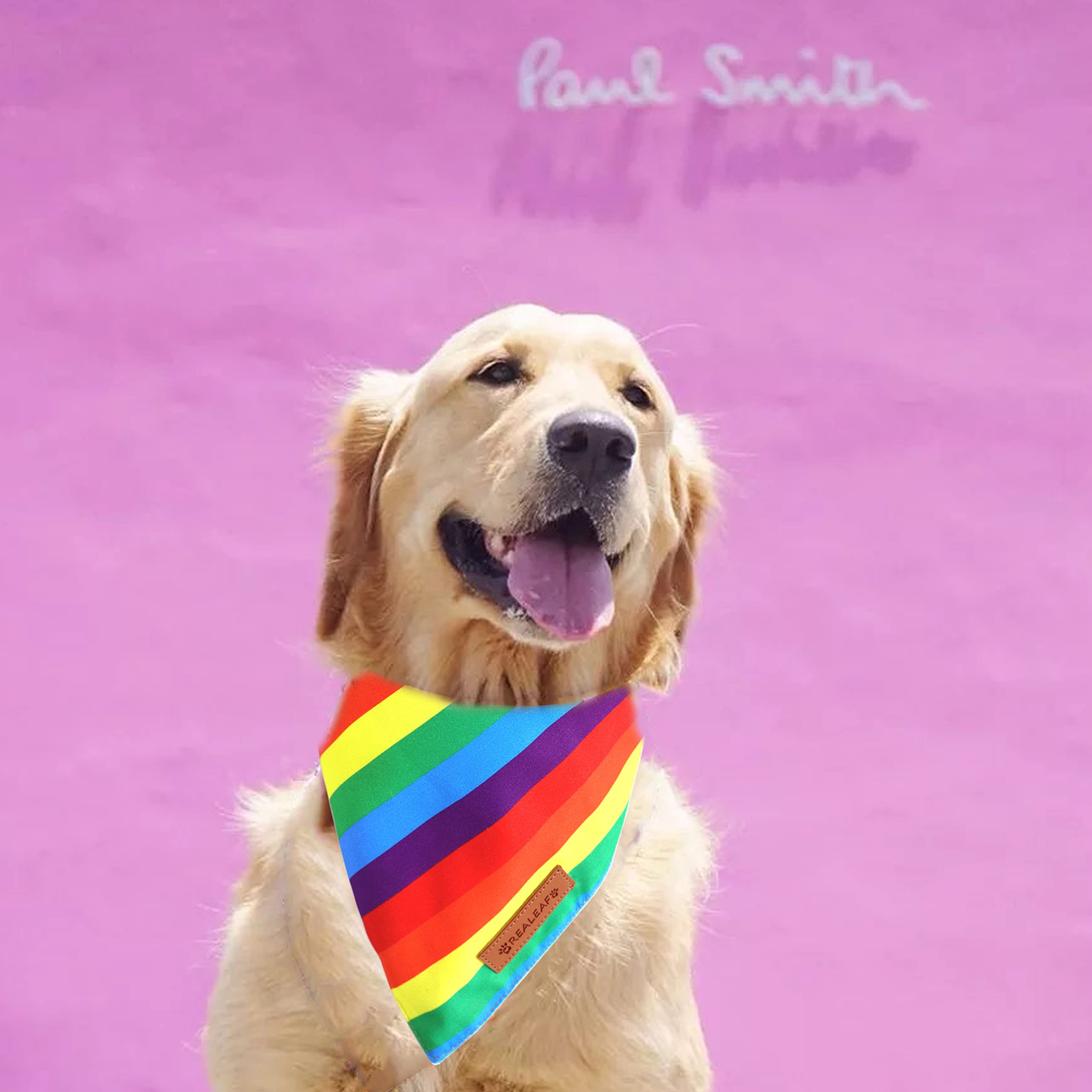 Realeaf Pride Bandana regalo perro, opción divertida para celebrar con estilo.