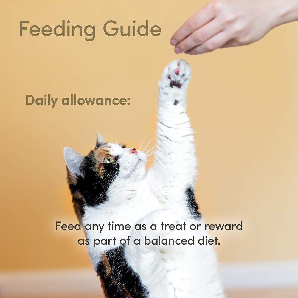 Recompensa diaria para gatos: variedad de sabores