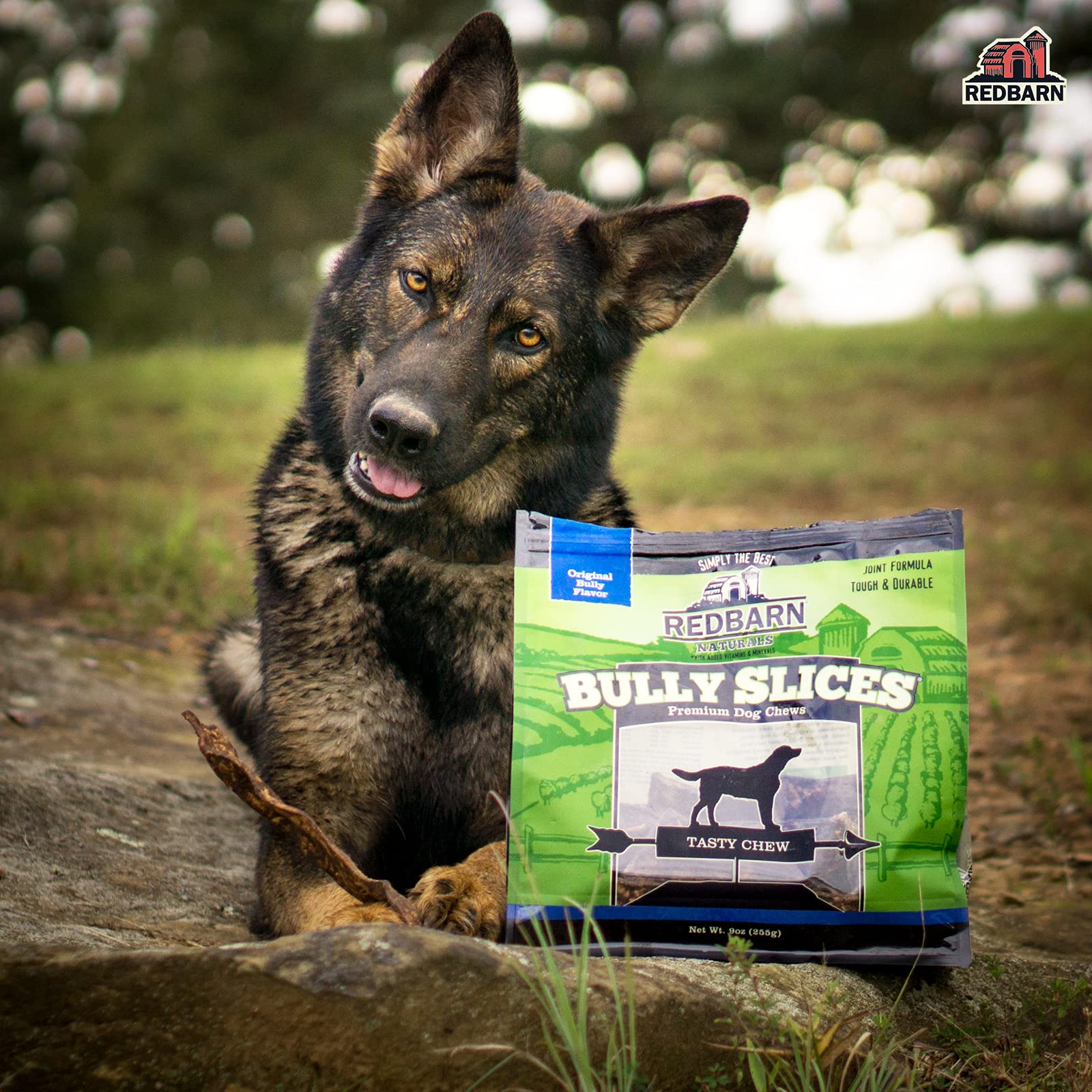 Perro disfrutando del premio Redbarn Bully Slices, ideal para entretenimiento.