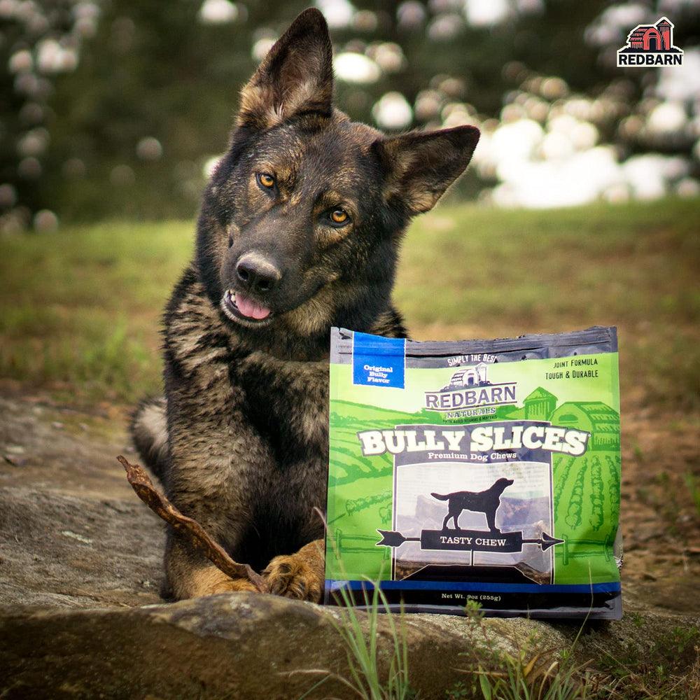 Perro disfrutando del premio Redbarn Bully Slices, ideal para entretenimiento.