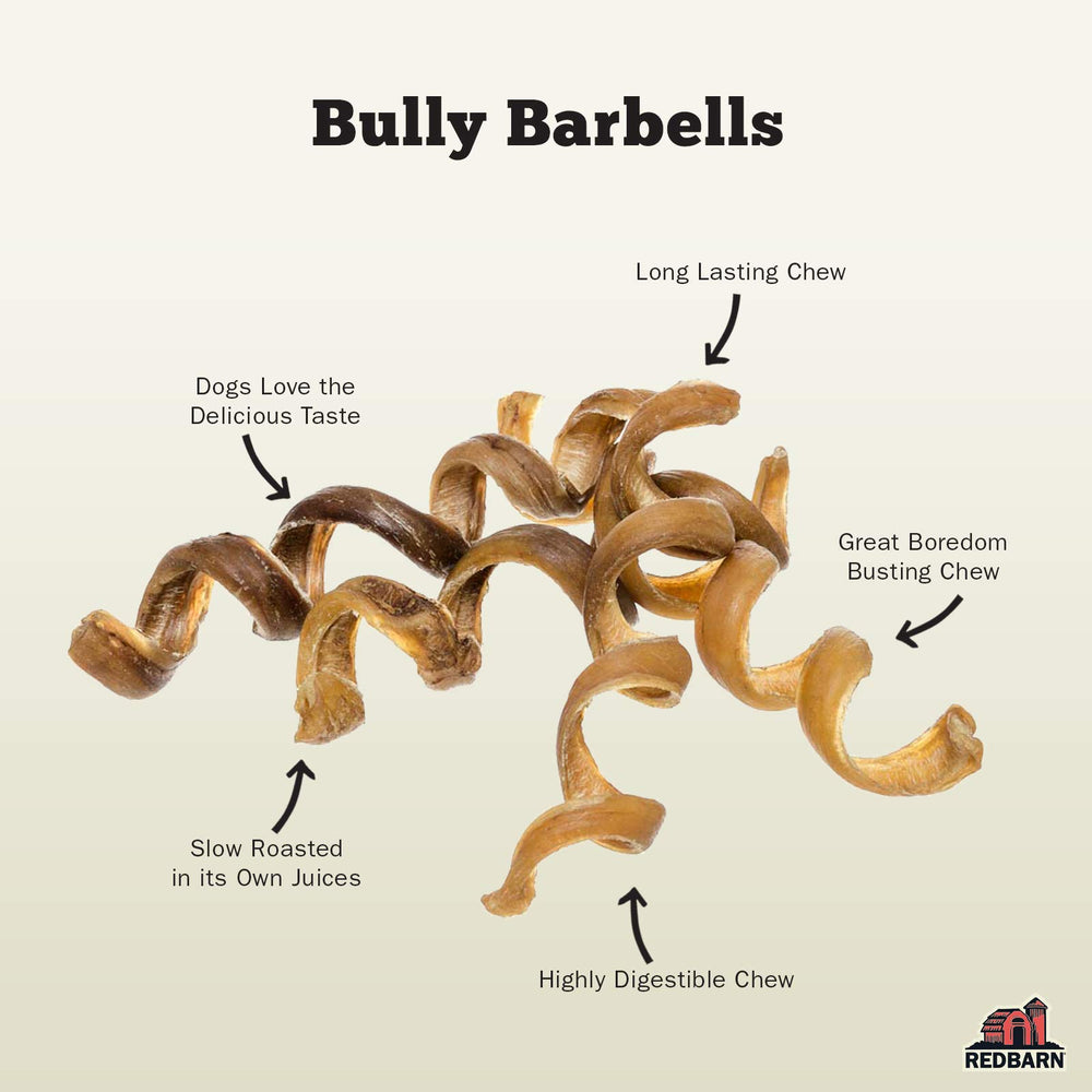 Redbarn Bully Springs: forma espiral duradera que estimula la masticación