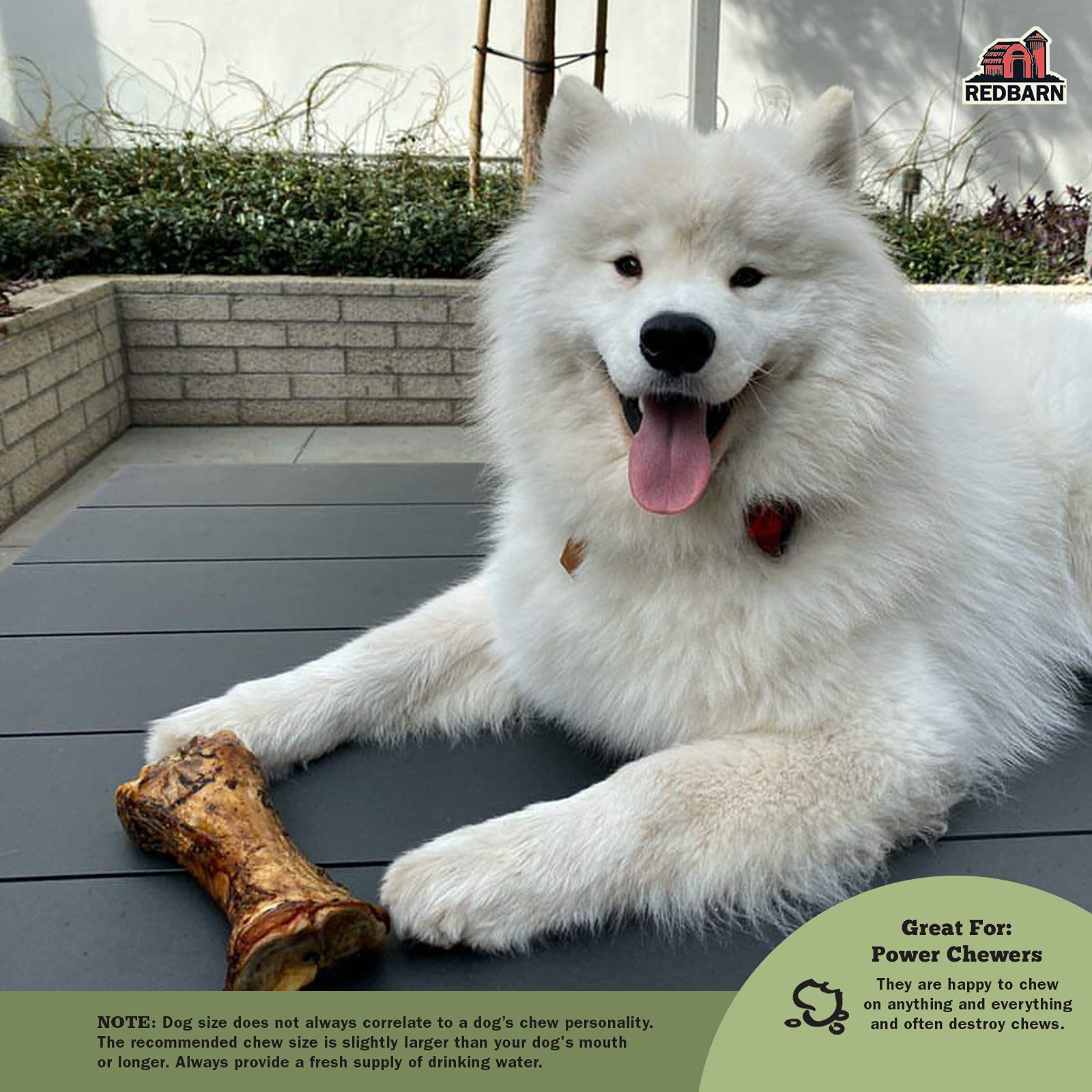Redbarn Hueso Carnoso para Perros Grandes: estimulación mental y juego prolongado